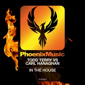 Pochette de In the House de Todd Terry