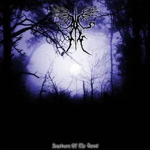 Pochette de Sanctuary of the Forest de Ancient Boreal Forest