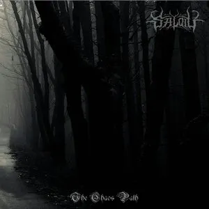 Pochette de The Chaos Path de Salqiu