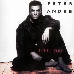 Pochette de I Feel You de Peter Andre