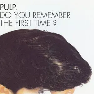 Pochette Do You Remember the First Time?