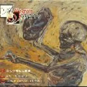 Pochette de Allegro Vivace de Nouvelles Lectures Cosmopolites