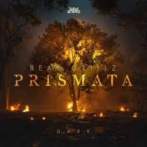 Pochette de Something Real de Bear Grillz