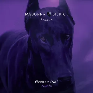 Pochette Frozen (Fireboy DML remix)