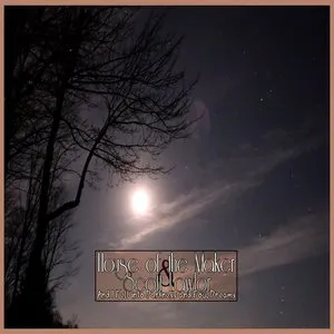 Pochette de And I Fell Into Darkness and Foul Dreams de Scott Lawlor
