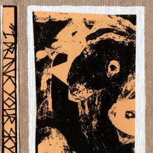 Pochette de I Drink Your Skin de Kevin Drumm