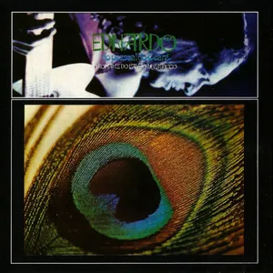 Pochette de O romance do pavão mysteriozo de Ednardo