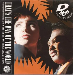 Pochette de That's the Way of the World de Cathy Dennis
