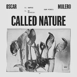 Pochette de Called Nature EP de Oscar Mulero