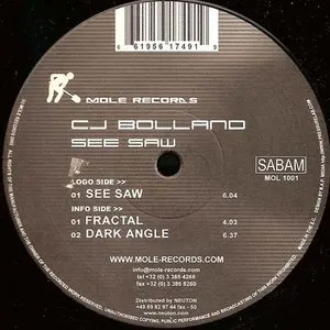 Pochette de See Saw de CJ Bolland