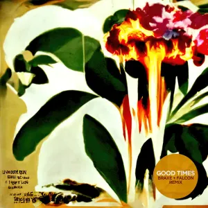 Pochette de GOOD TIMES (Braxe + Falcon remix) de Jungle