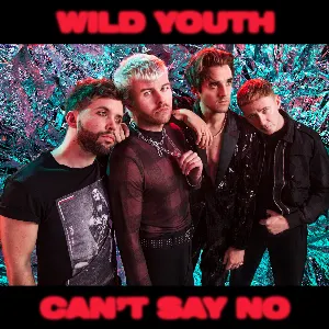 Pochette de Can’t Say No de Wild Youth