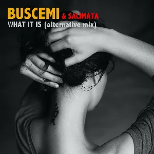 Pochette de What It Is (alternative mix) de Buscemi