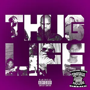 Pochette Thug Life (Swisha House Remix)