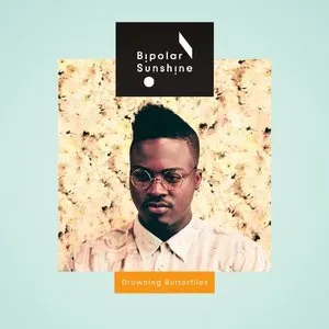 Pochette de Drowning Butterflies de Bipolar Sunshine