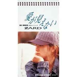Pochette de 愛が見えない de ZARD