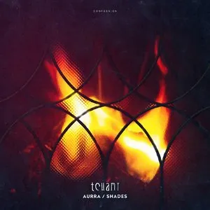 Pochette de Aurra / Shades de Tchami