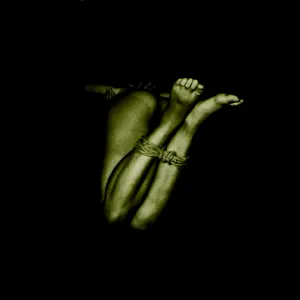 Pochette de The Genocidal Deliverance de Gnaw Their Tongues