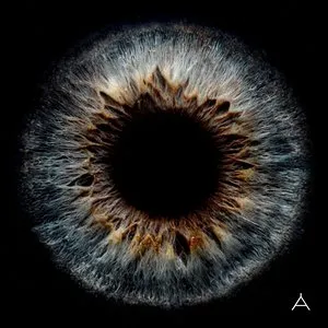 Pochette de Apples of Thy Eye de Yoga Lin
