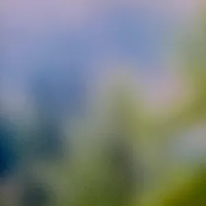 Pochette de Haze & Hazel de Ueda Takayasu