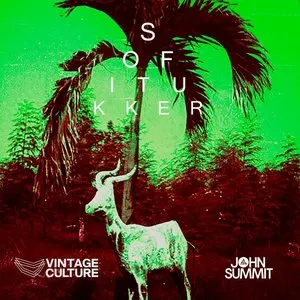 Pochette de Drinkee (Vintage Culture & John Summit Remix) de Sofi Tukker