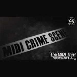Pochette The Midi Thief
