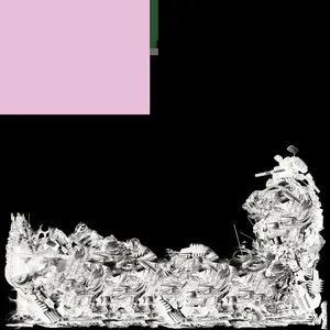 Pochette de Schlagenheist (raw mixes) de black midi