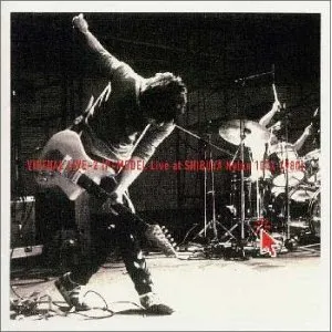 Pochette de VIRTUAL LIVE-2 de P-MODEL