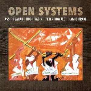 Pochette de Open Systems de Peter Kowald - Hamid Drake