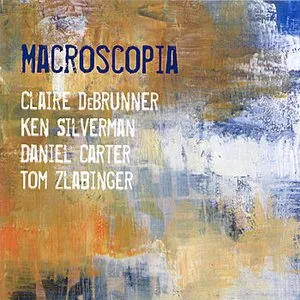 Pochette de Macroscopia de Daniel Carter