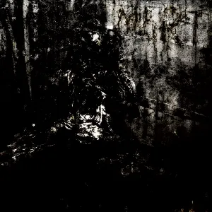 Pochette de MoRT de Blut aus Nord