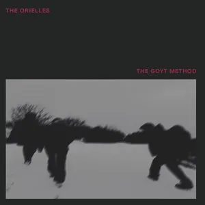 Pochette de The Goyt Method de The Orielles