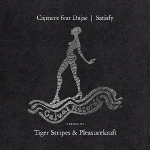Pochette Satisfy (Tiger Stripes & Pleasurekraft remix)