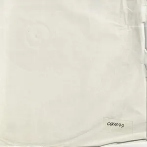 Pochette de Covers de Lykke Li