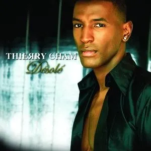 Pochette de Désolé de Thierry Cham