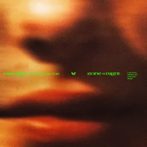 Pochette de Gone for the Night de Rudimental - Scrufizzer