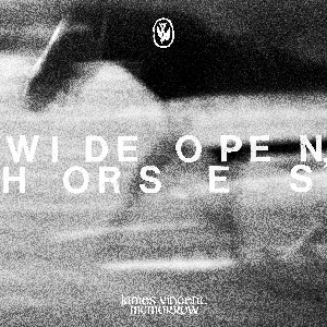 Pochette de Wide Open, Horses de James Vincent McMorrow