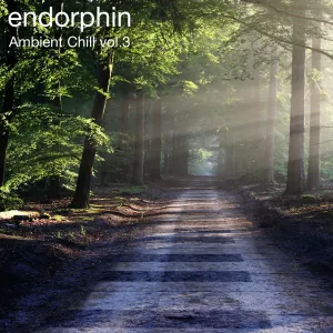 Pochette de Ambient Chill Vol 3 de Endorphin