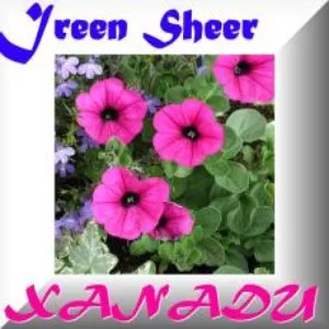 Pochette de Xanadu de Ireen Sheer