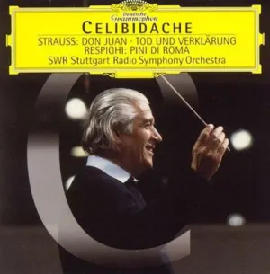 Pochette de Strauss: Don Juan / Tod und Verklärung - Respighi: Pini di Roma de Radio‐Sinfonieorchester Stuttgart des SWR - Richard Strauss - Ottorino Respighi - Sergiu Celibidache