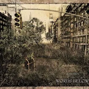 Pochette de The Words Below de DJ Hidden