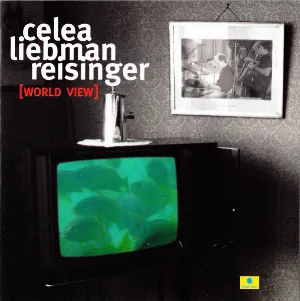 Pochette de [World View] de David Liebman
