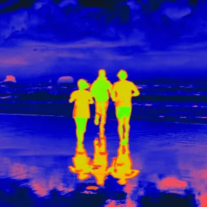 Pochette de Fight or Flight de Alison Wonderland