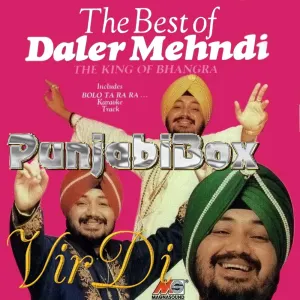 Pochette de The Best of Daler Mehndi: The King of Bhangra de Daler Mehndi