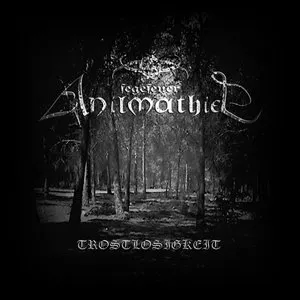 Pochette de Trostlosigkeit de Fegefeuer Anilmathiel