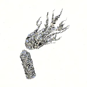 Pochette de Chainsaw de O.B.F. - Belén Natalí