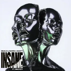 Pochette de Insane de SNAILS