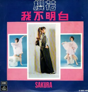 Pochette de 我不明白 de Sakura