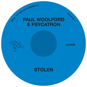Pochette de Stolen de Paul Woolford