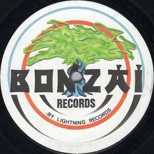 Pochette de Calling Remixes de Yves Deruyter